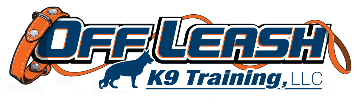 Off Leash K9 Training South Florida - Dog Obedience Training